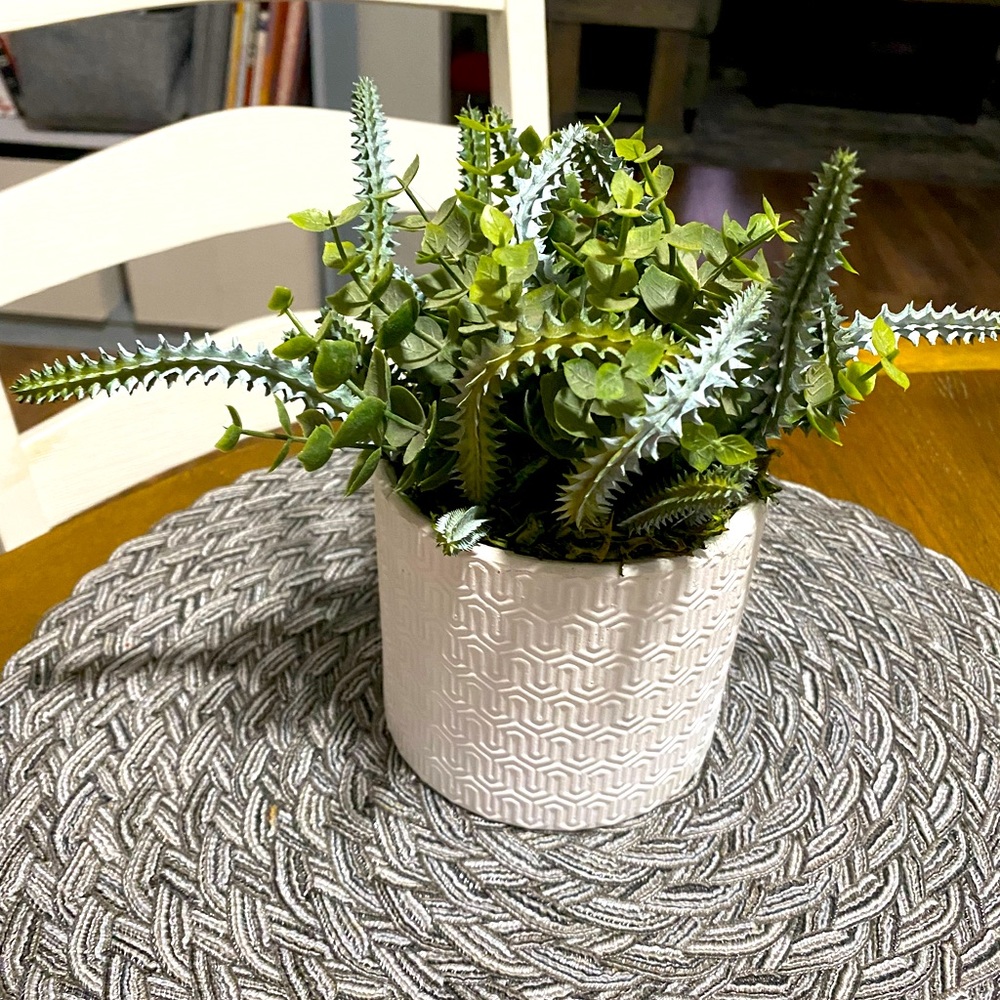 Faux plant/succulent